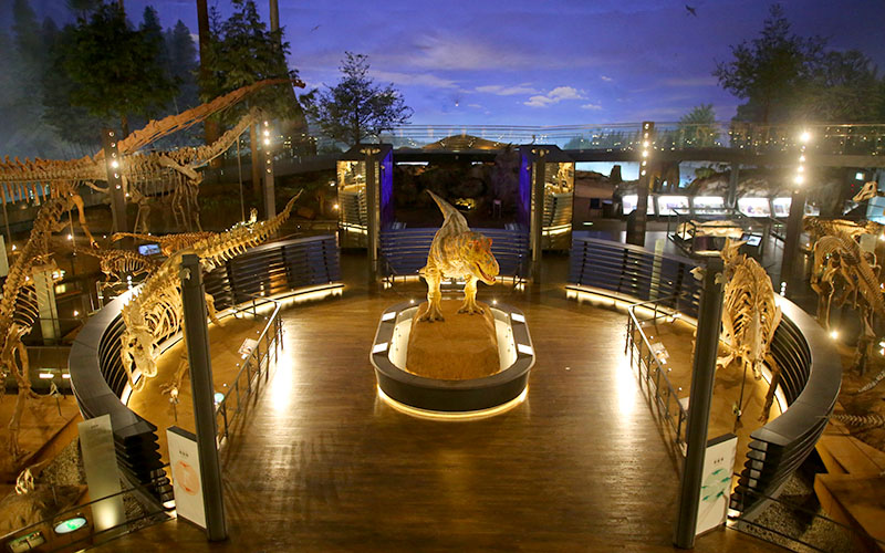 Fukui Prefectural Dinosaur Museum