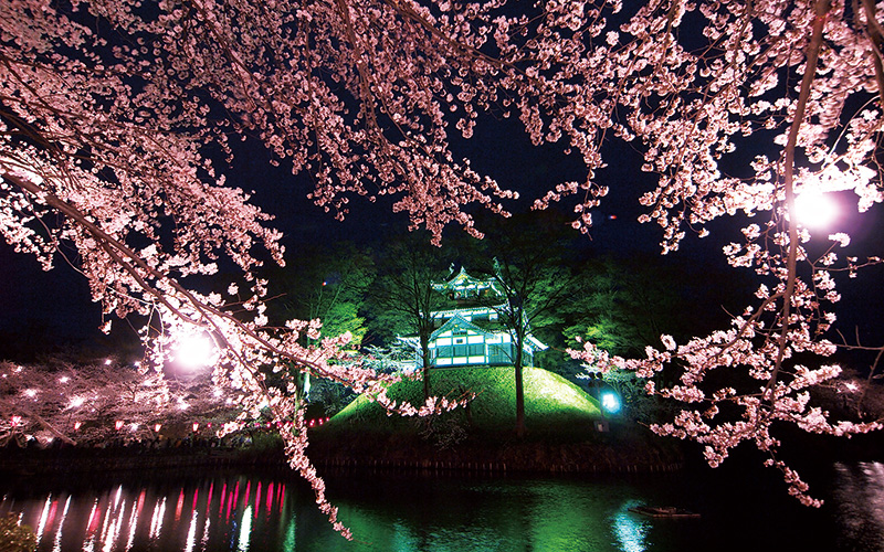 Takada Castle Cherry Blossom Viewing for 1 Million People