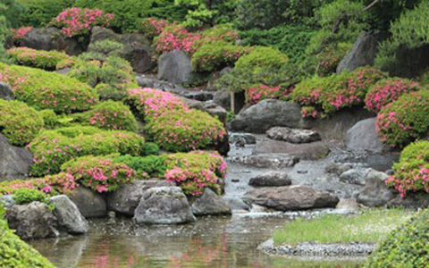 Gyokusuien Park / Tanimura Art Museum