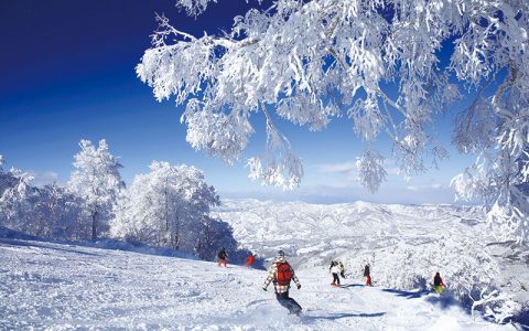 Nozawa Onsen Ski Resort