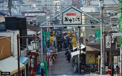 Yanaka / Nezu / Sendagi (YANESEN)