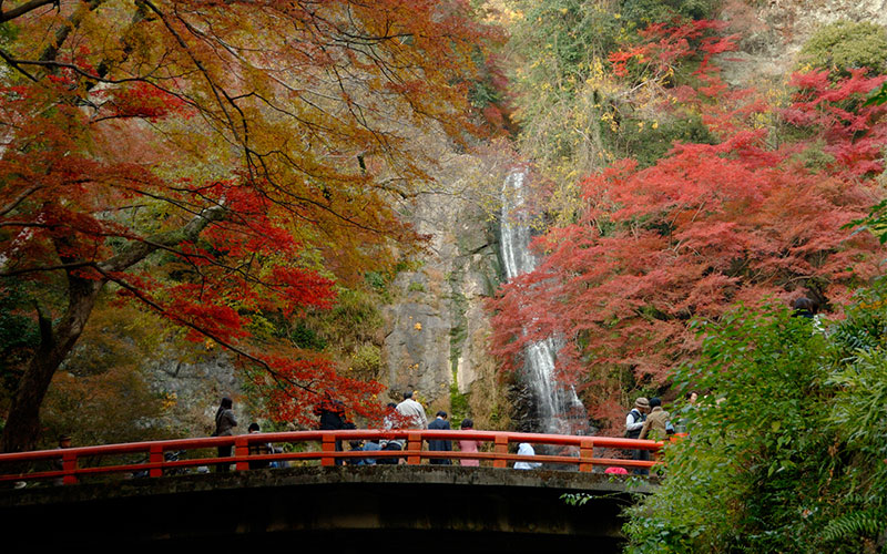 Meiji-no-mori Mino Quasi-national Park (Mino Waterfall)