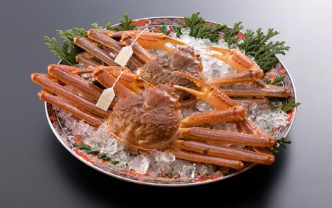 Red Snow Crab