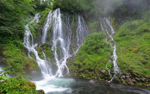 Guided Hiking Tours in Goshikigahara Forest