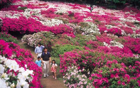 Ｎishiyama Park