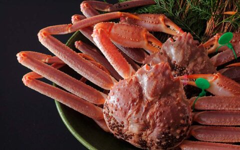 Taiza Snow Crab(Taiza-gani)—The King of The Crabs