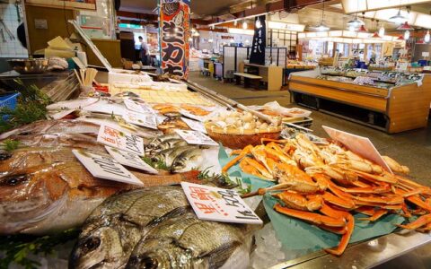 Noto Shokusai Market