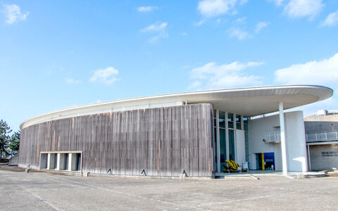 Private: Firefly Squid Museum