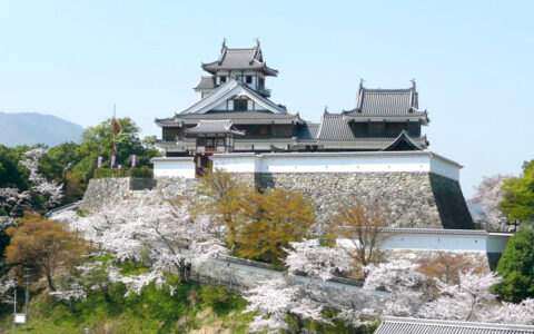 Private: Fukuchiyama Castle