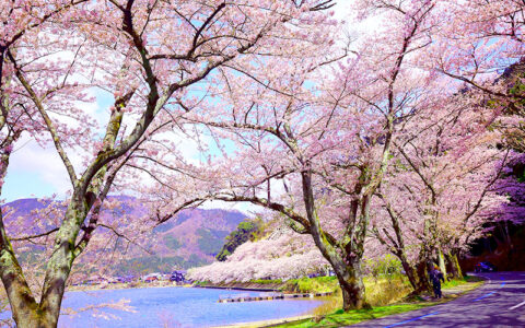 Private: Kaizu Osaki