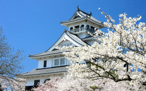 Private: Nagahama Castle History Museum