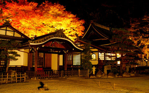 Private: Onsen-ji Temple