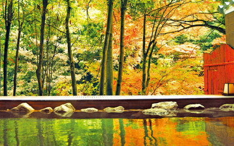 Private: Yamanaka Onsen